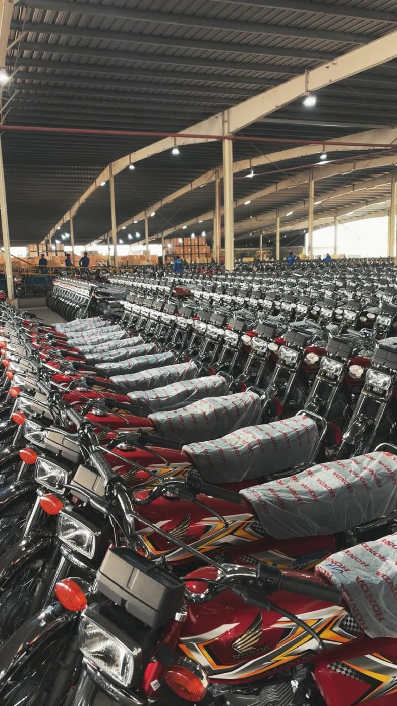 Export Production Planning Automation